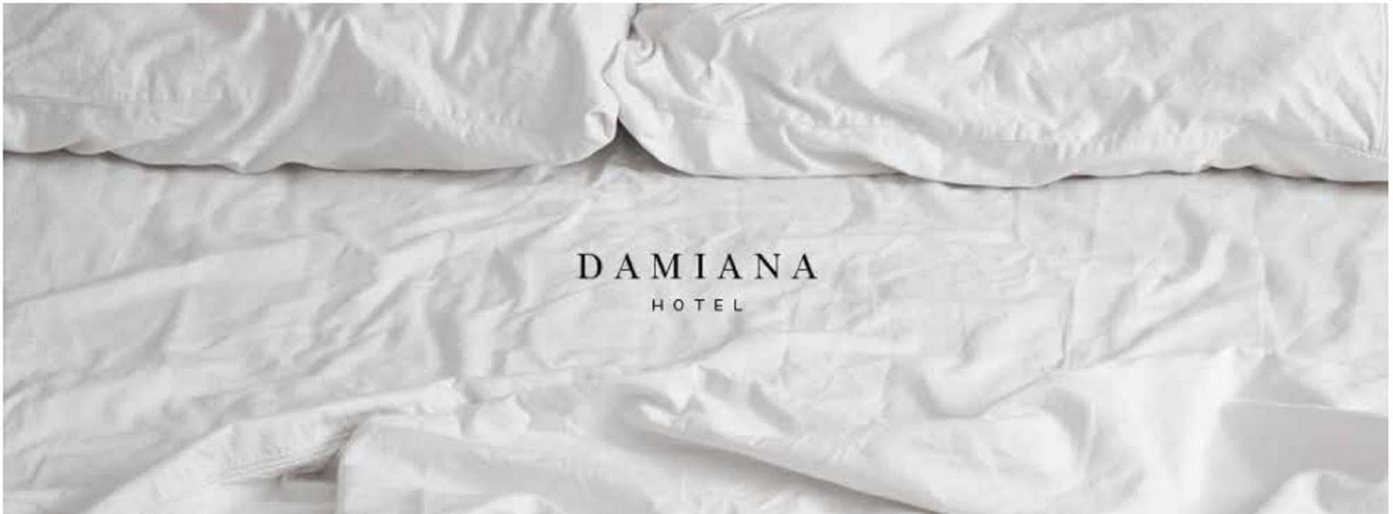 Hotel Damiana Boutique Querétaro Eksteriør billede